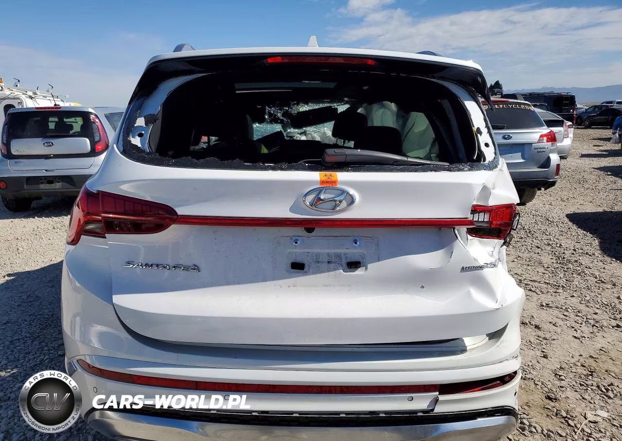 2023 Hyundai Santa Fe Calligraphy VIN:5NMS5DAL2PH609966 - 6