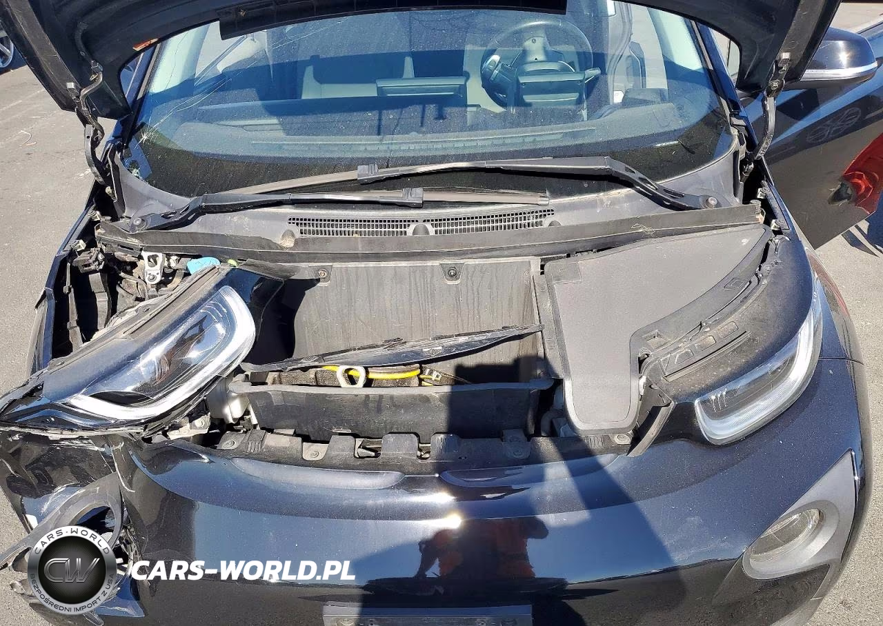 2017 BMW I3 Rex VIN:WBY1Z8C33HV890523 - 11