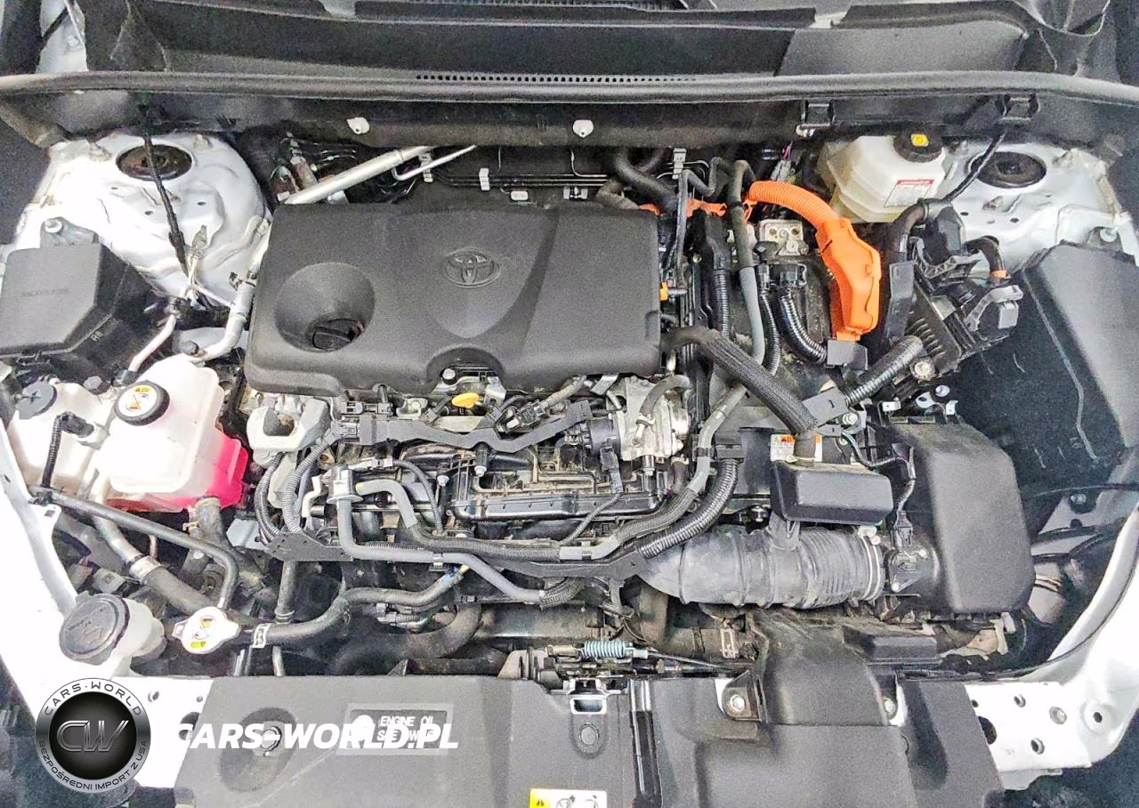 2024 Toyota Rav4 Limited VIN:4T3D6RFV0RU146916 - 12