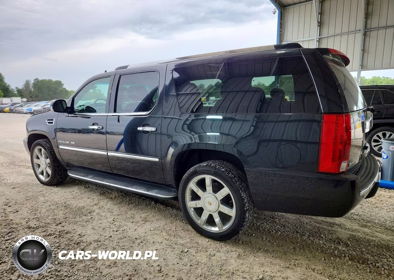 2011 Cadillac Escalade Esv Luxury VIN:1GYS4HEF1BR222855 - 2
