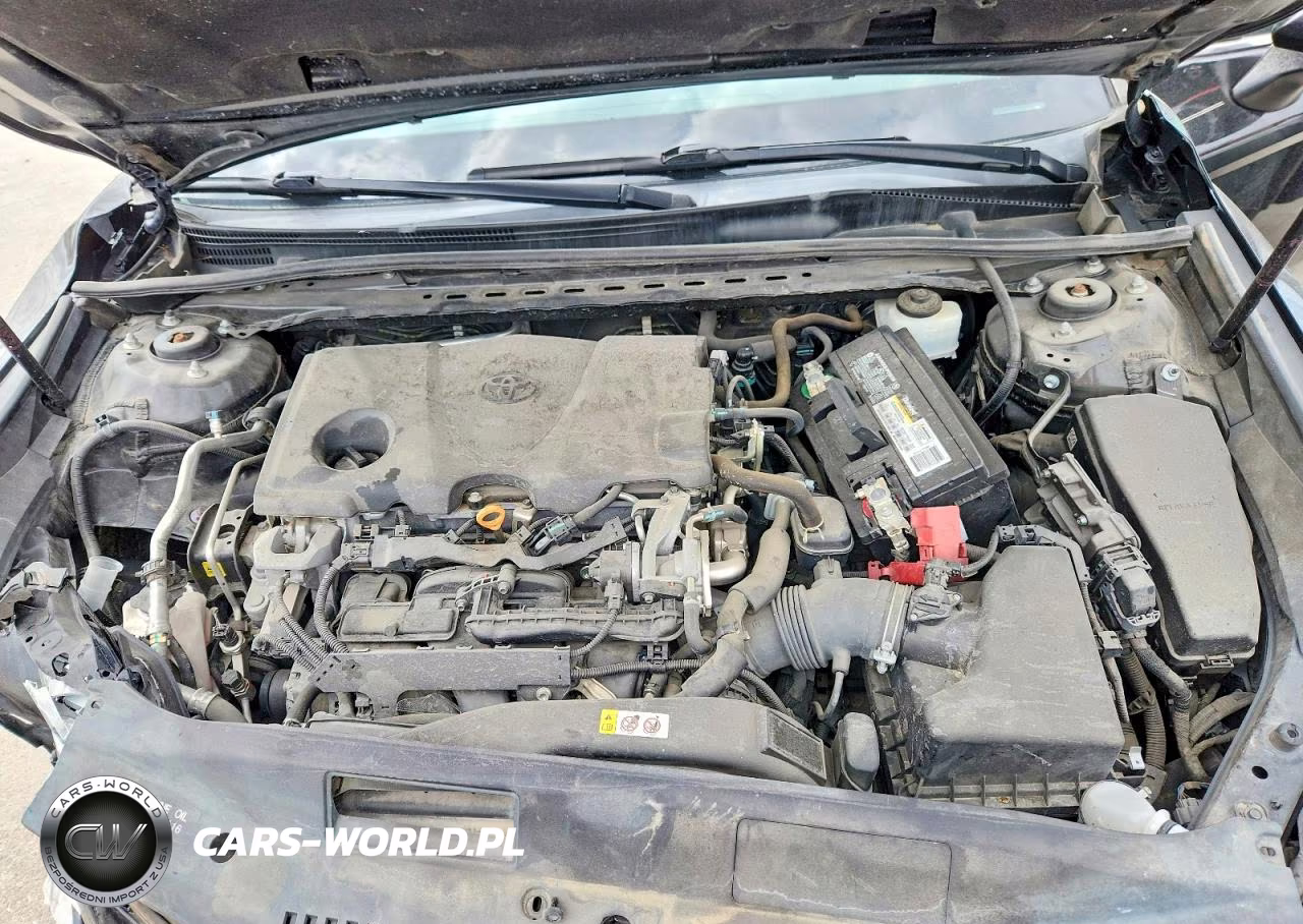 2019 Toyota Camry Se VIN:4T1B11HK4KU252083 - 11