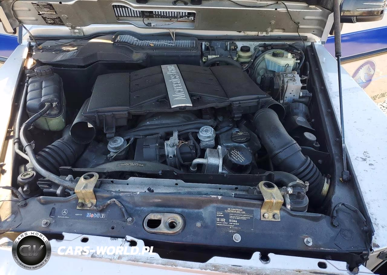 2002 Mercedes-Benz G 500 VIN:WDCYR49E22X131126 - 11