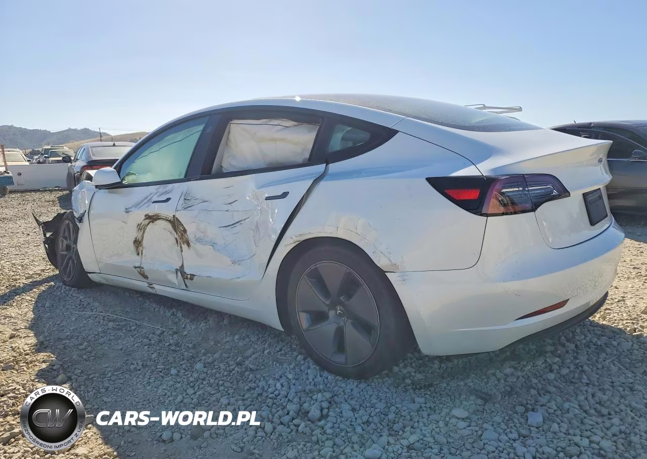 2023 Tesla Model 3 VIN:5YJ3E1EA2PF545988 - 2