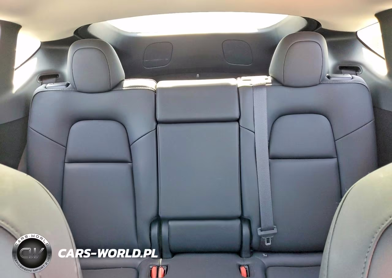 2023 Tesla Model Y VIN:7SAYGDEF4PF882369 - 10