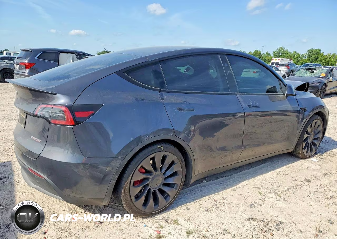 2023 Tesla Model Y VIN:7SAYGDEF4PF882369 - 3