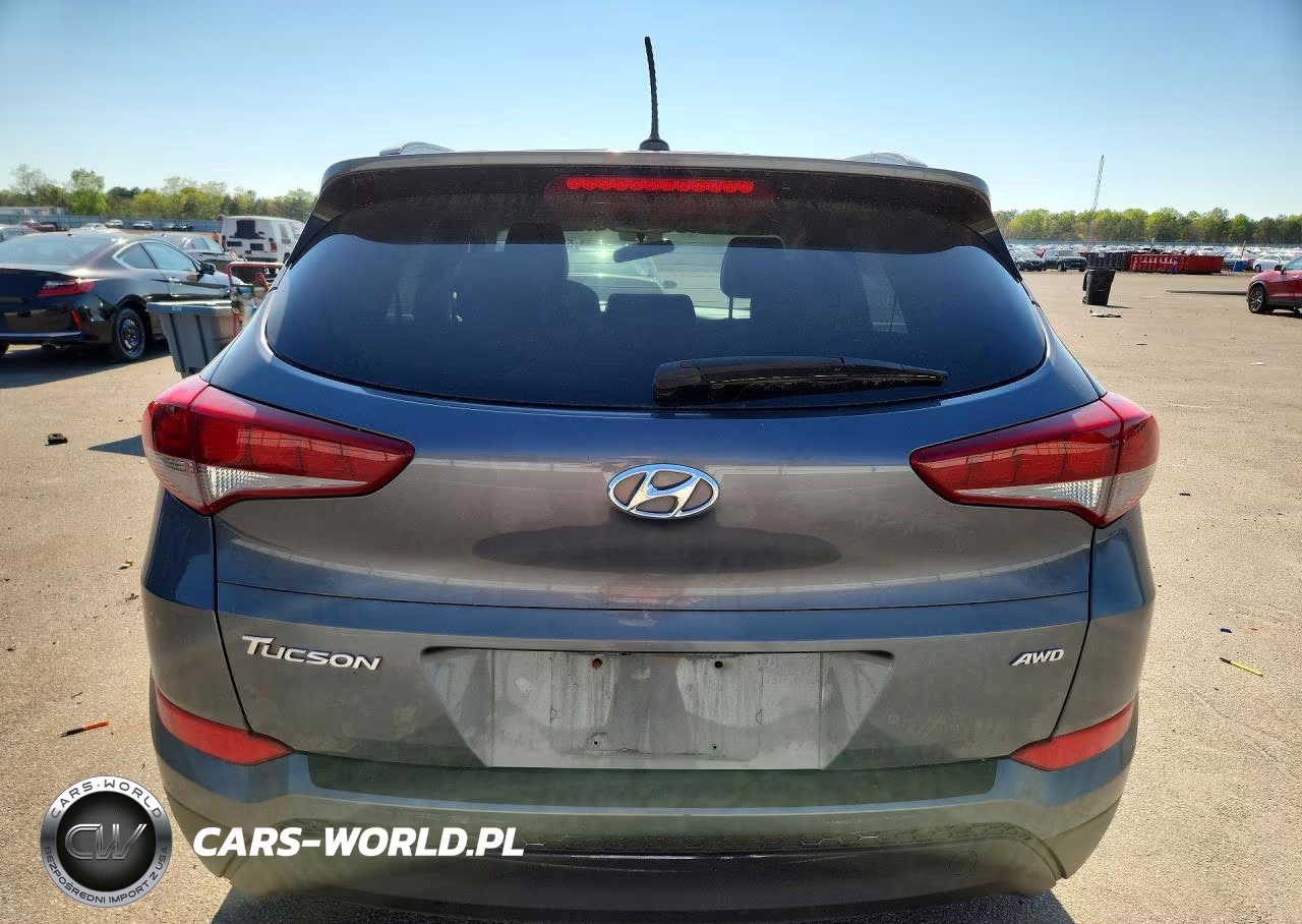 2016 Hyundai Tucson Se VIN:KM8J3CA43GU210797 - 6