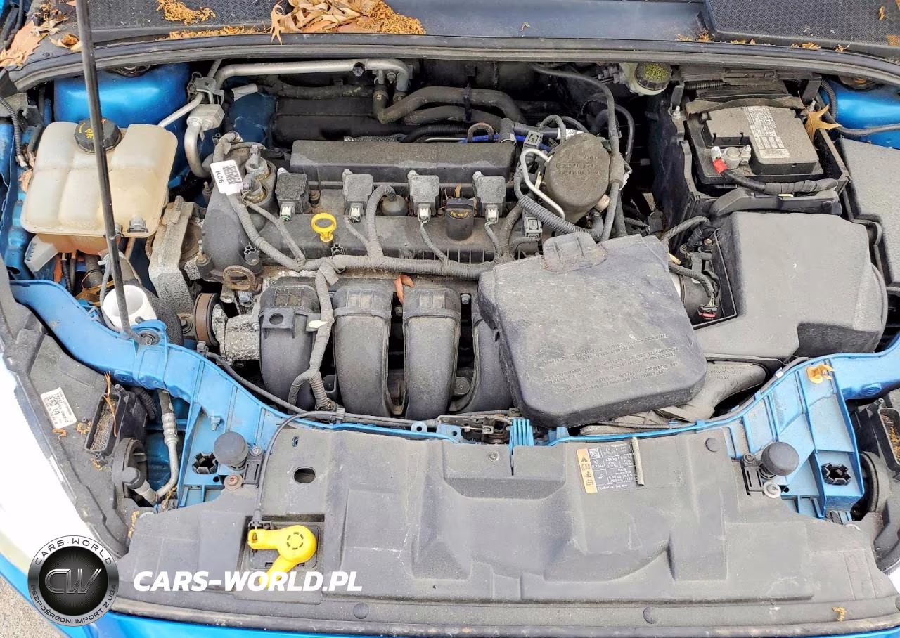 2015 Ford Focus Se VIN:1FADP3K21FL228423 - 11