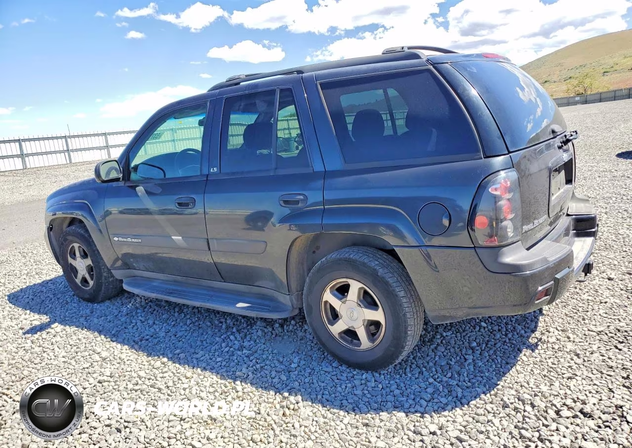 2004 Chevrolet Trailblazer Ls VIN:1GNDT13SX42366965 - 2