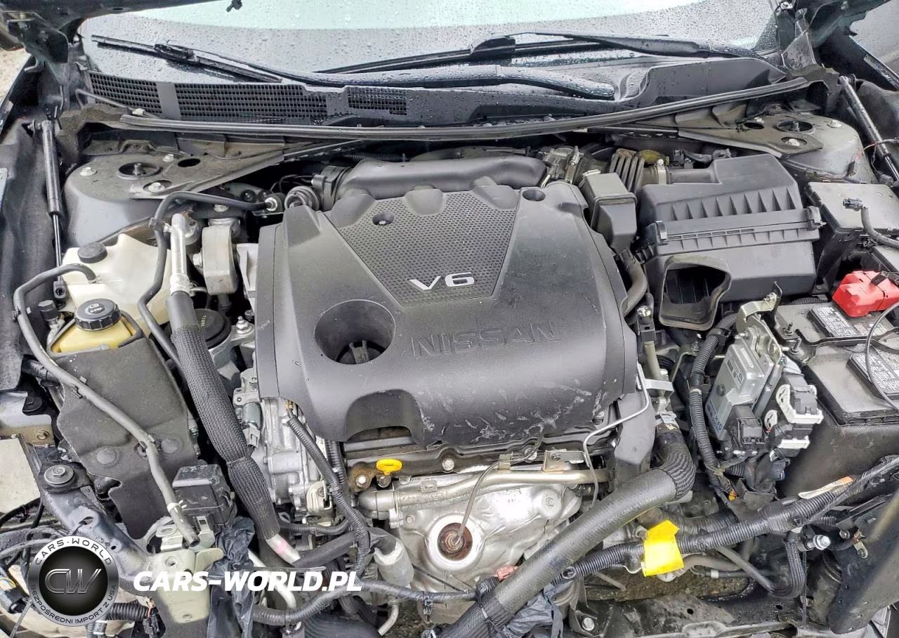 2018 Nissan Maxima Platinum VIN:1N4AA6AP1JC372517 - 11