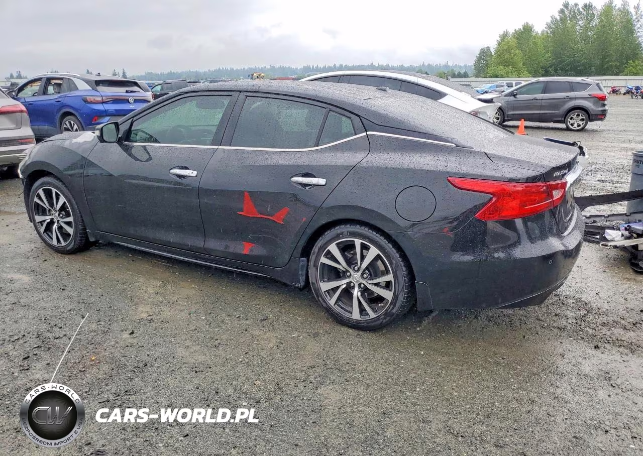 2018 Nissan Maxima Platinum VIN:1N4AA6AP1JC372517 - 2