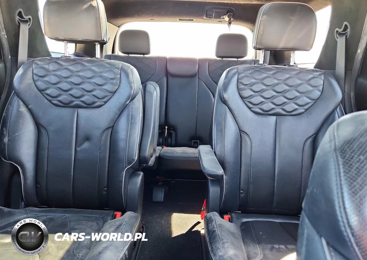 2020 Hyundai Palisade Limited VIN:KM8R5DHE8LU108018 - 10