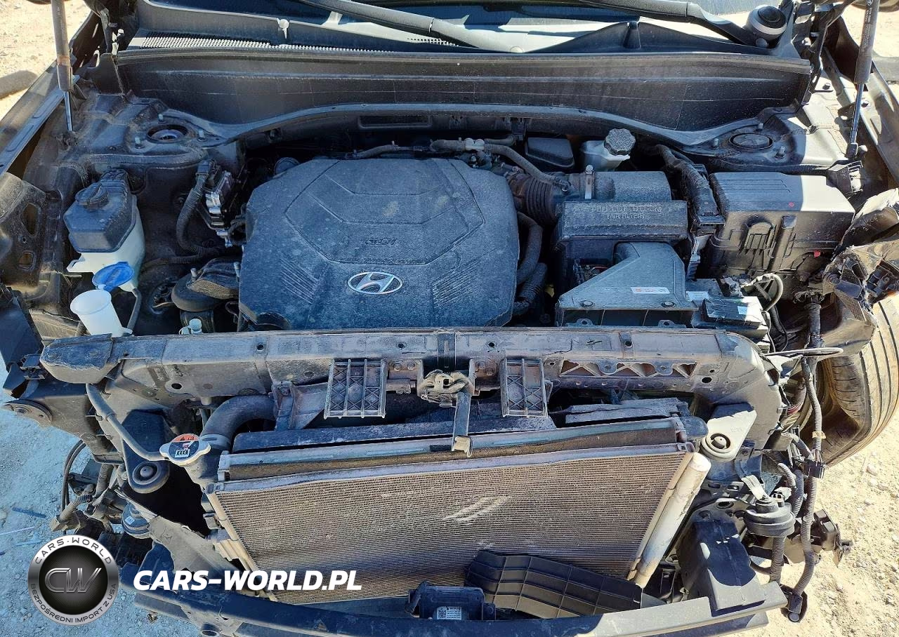 2020 Hyundai Palisade Limited VIN:KM8R5DHE8LU108018 - 12