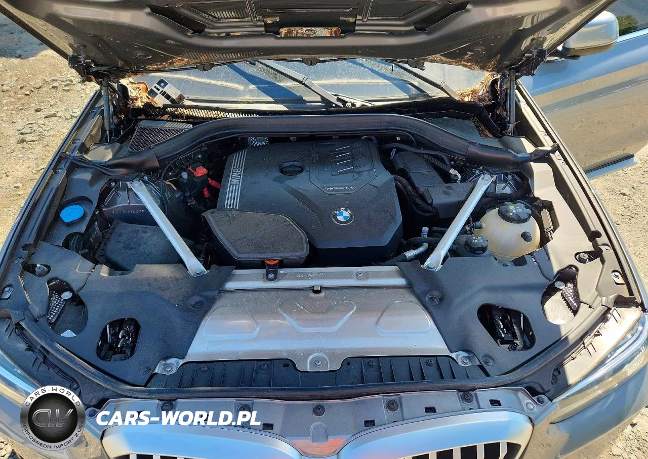 2023 BMW X3 xDrive30I VIN:5UX53DP06P9S81087 - 12