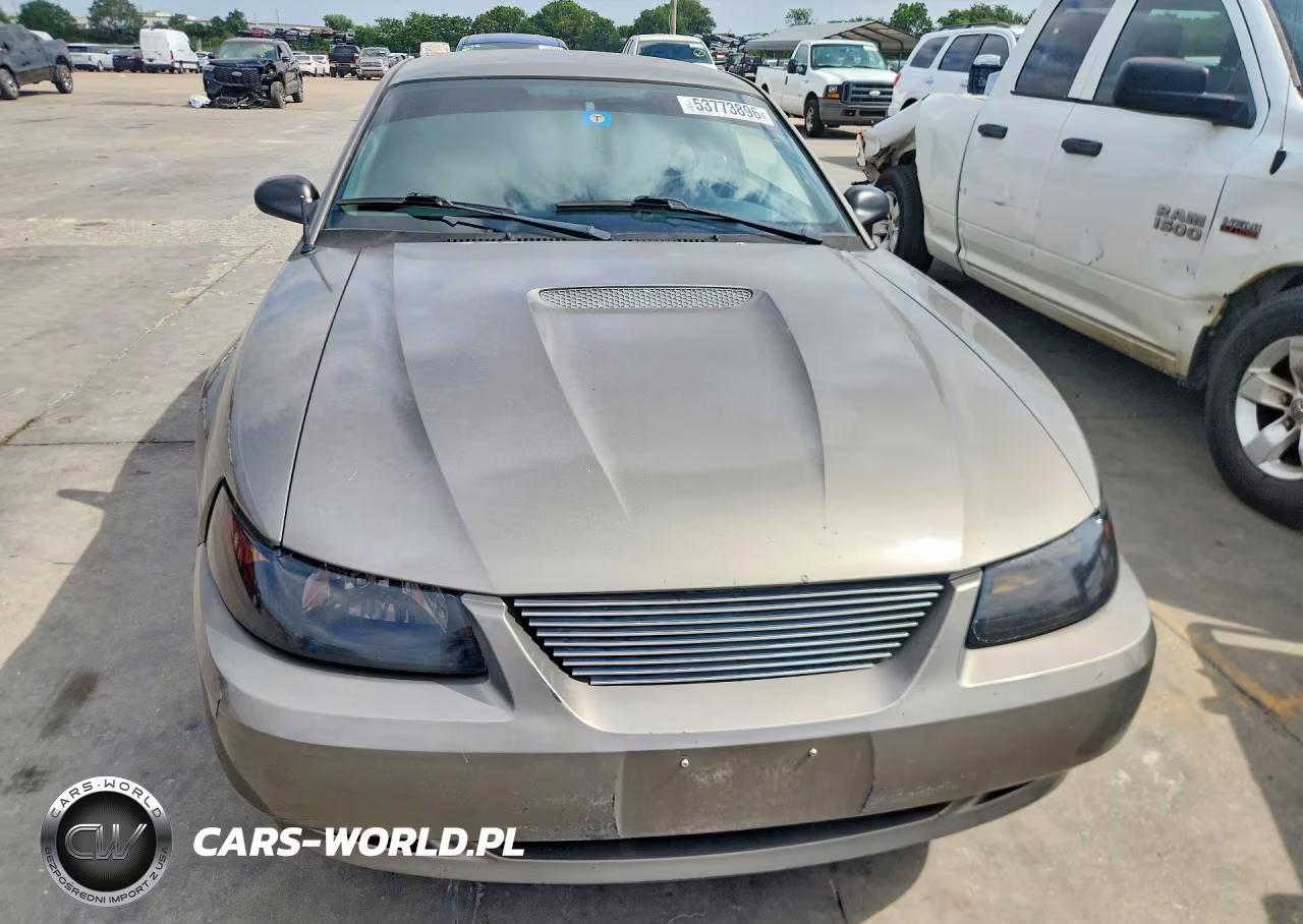 2001 Ford Mustang VIN:1FAFP40441F231858 - 5