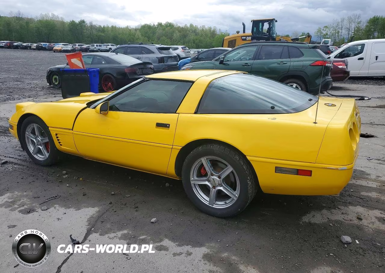 1996 Chevrolet Corvette VIN:1G1YY22P6T5105417 - 2
