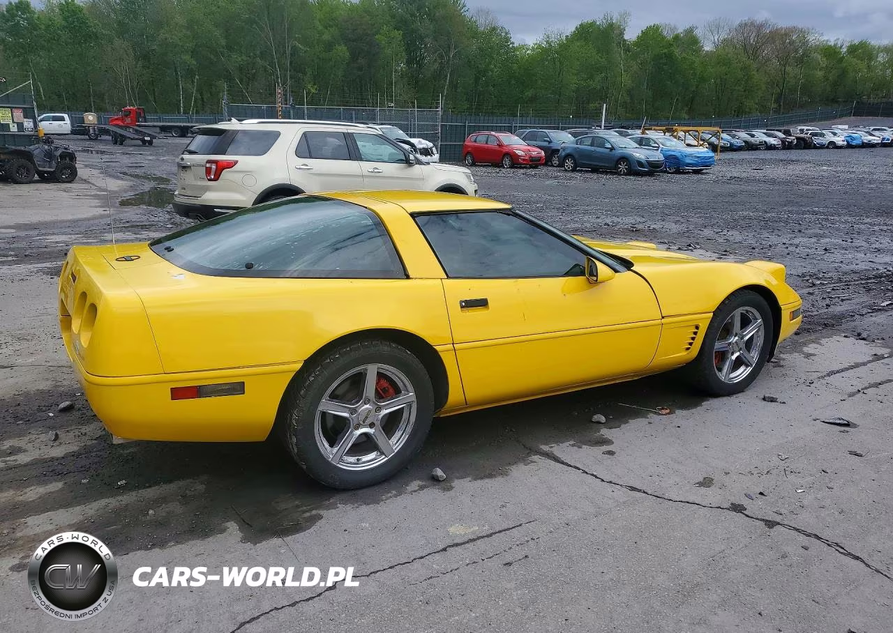 1996 Chevrolet Corvette VIN:1G1YY22P6T5105417 - 3