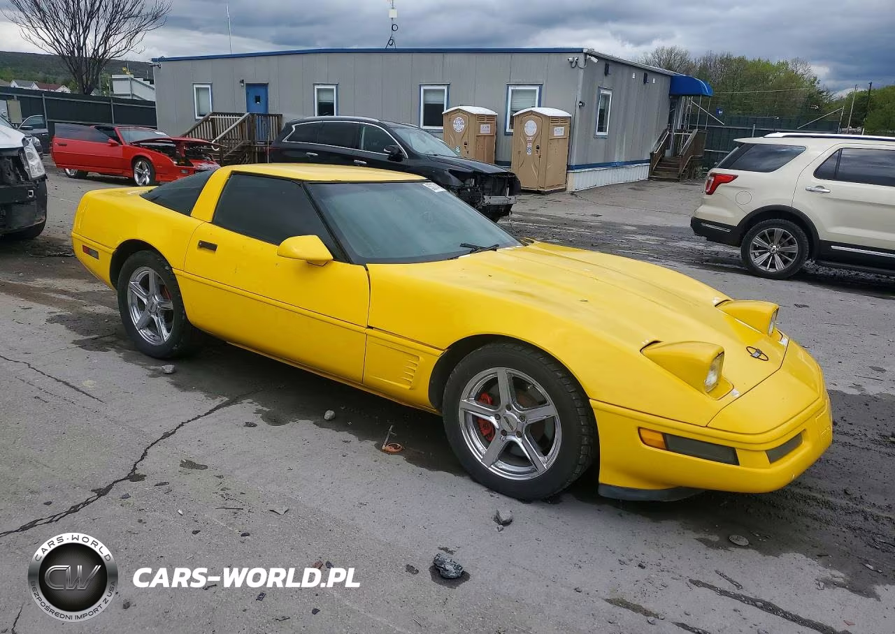 1996 Chevrolet Corvette VIN:1G1YY22P6T5105417 - 4