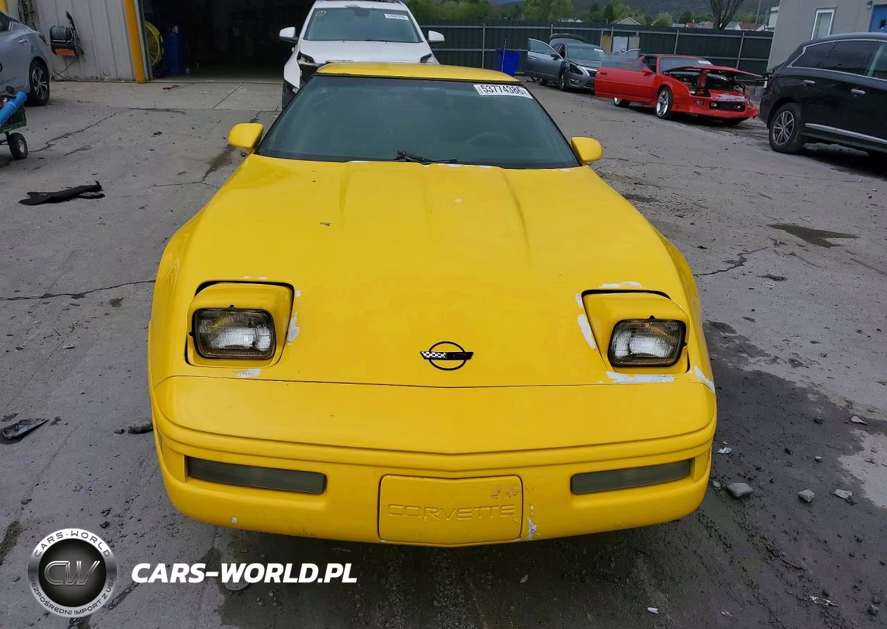 1996 Chevrolet Corvette VIN:1G1YY22P6T5105417 - 5