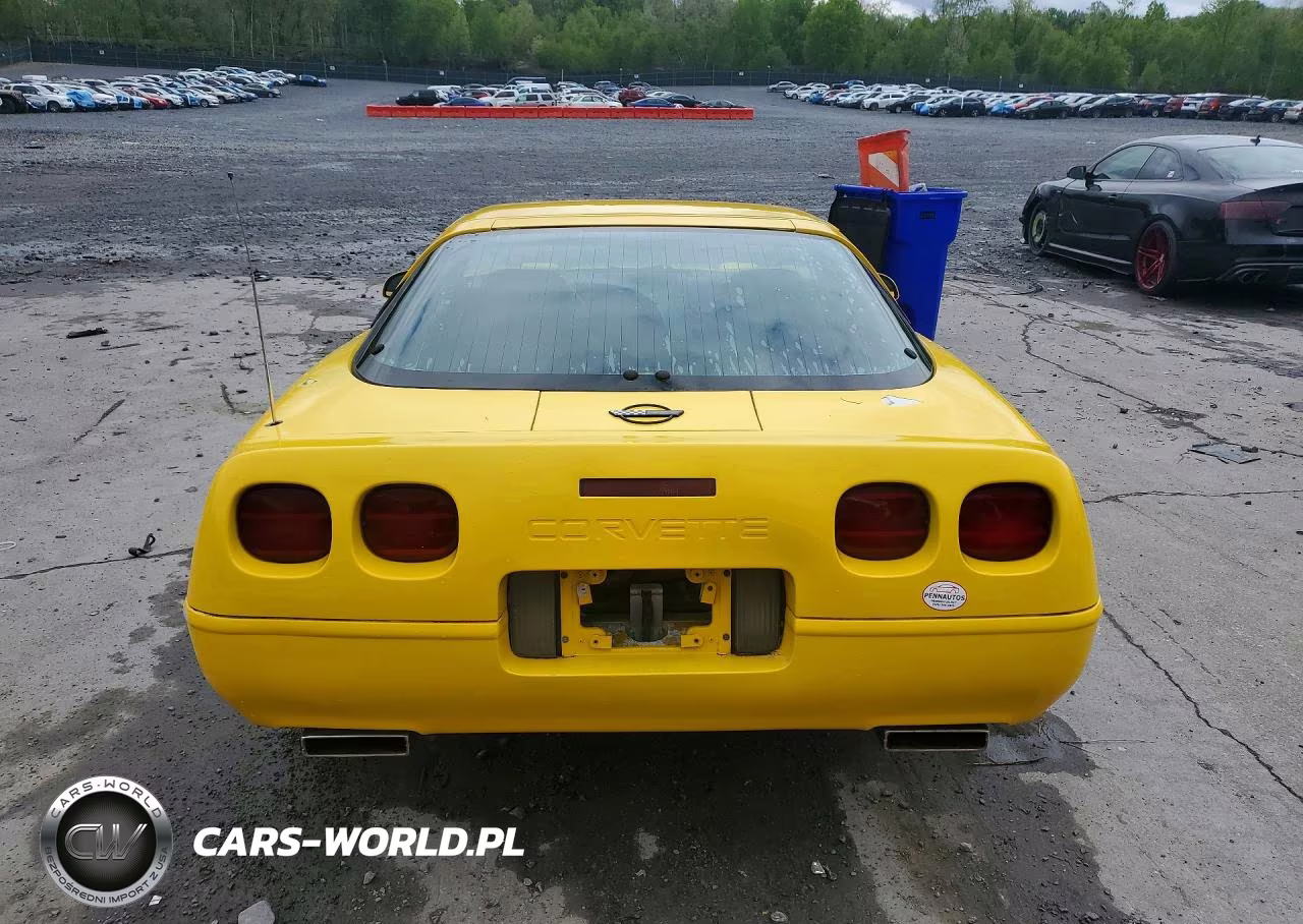 1996 Chevrolet Corvette VIN:1G1YY22P6T5105417 - 6