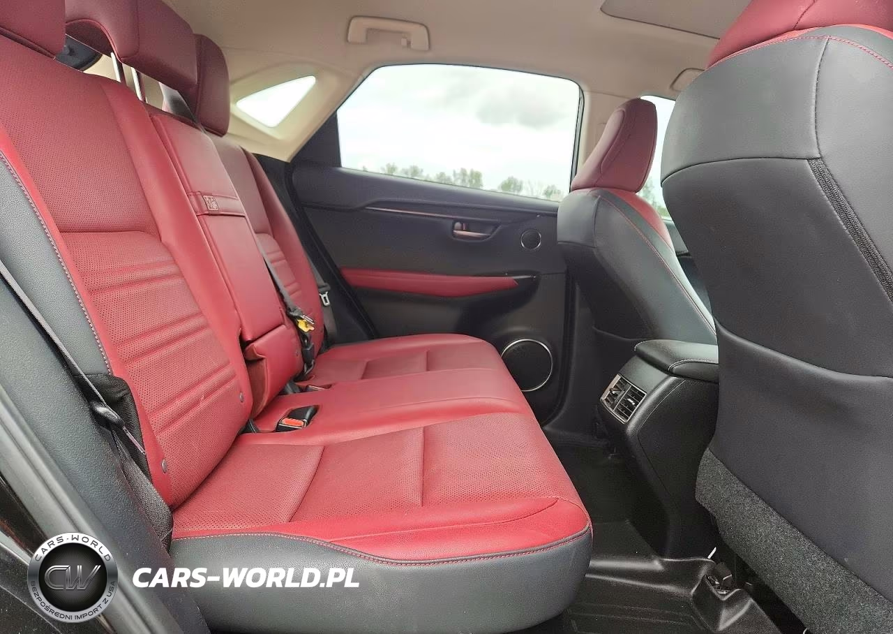 2020 Lexus Nx 300 VIN:JTJDARDZ1L2223259 - 10