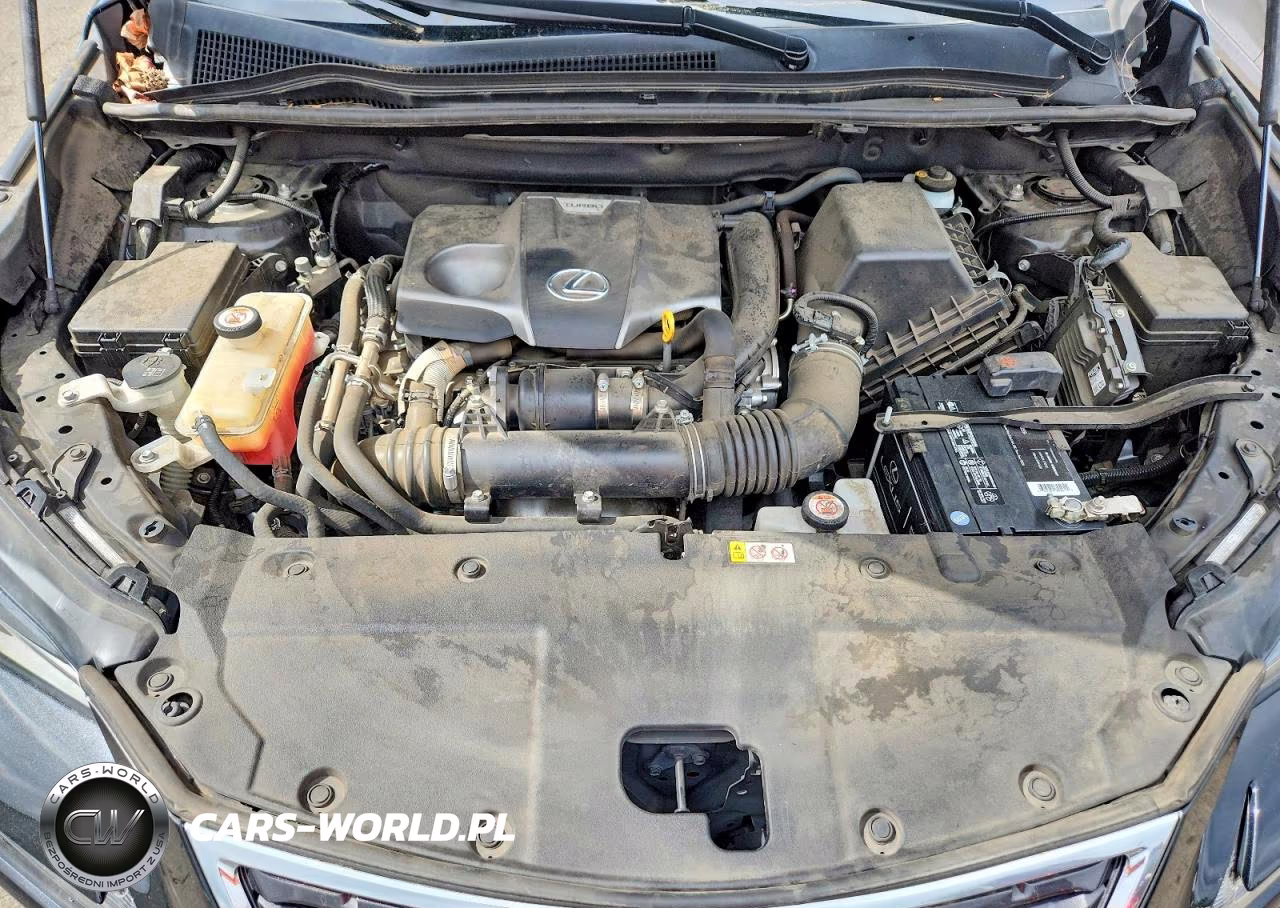 2020 Lexus Nx 300 VIN:JTJDARDZ1L2223259 - 11