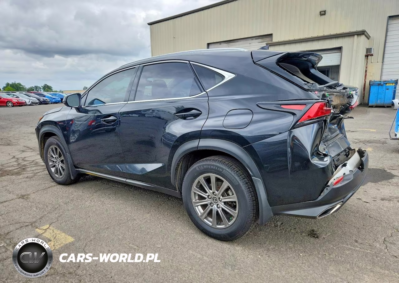 2020 Lexus Nx 300 VIN:JTJDARDZ1L2223259 - 2