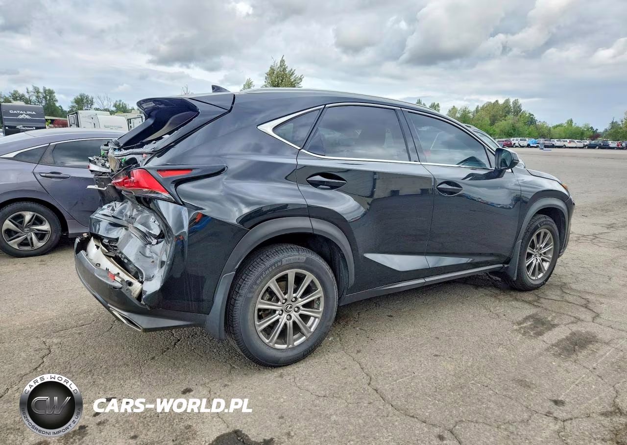 2020 Lexus Nx 300 VIN:JTJDARDZ1L2223259 - 3