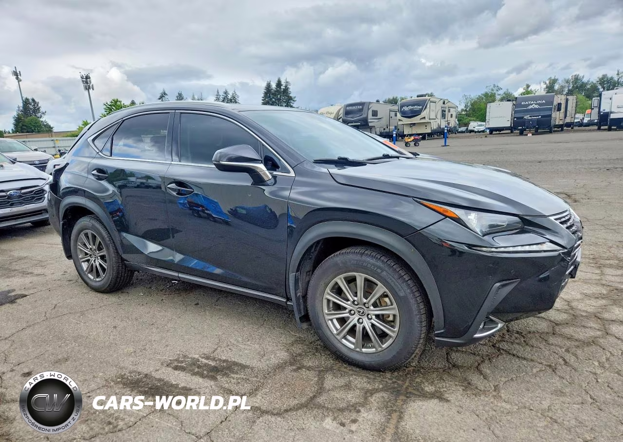 2020 Lexus Nx 300 VIN:JTJDARDZ1L2223259 - 4