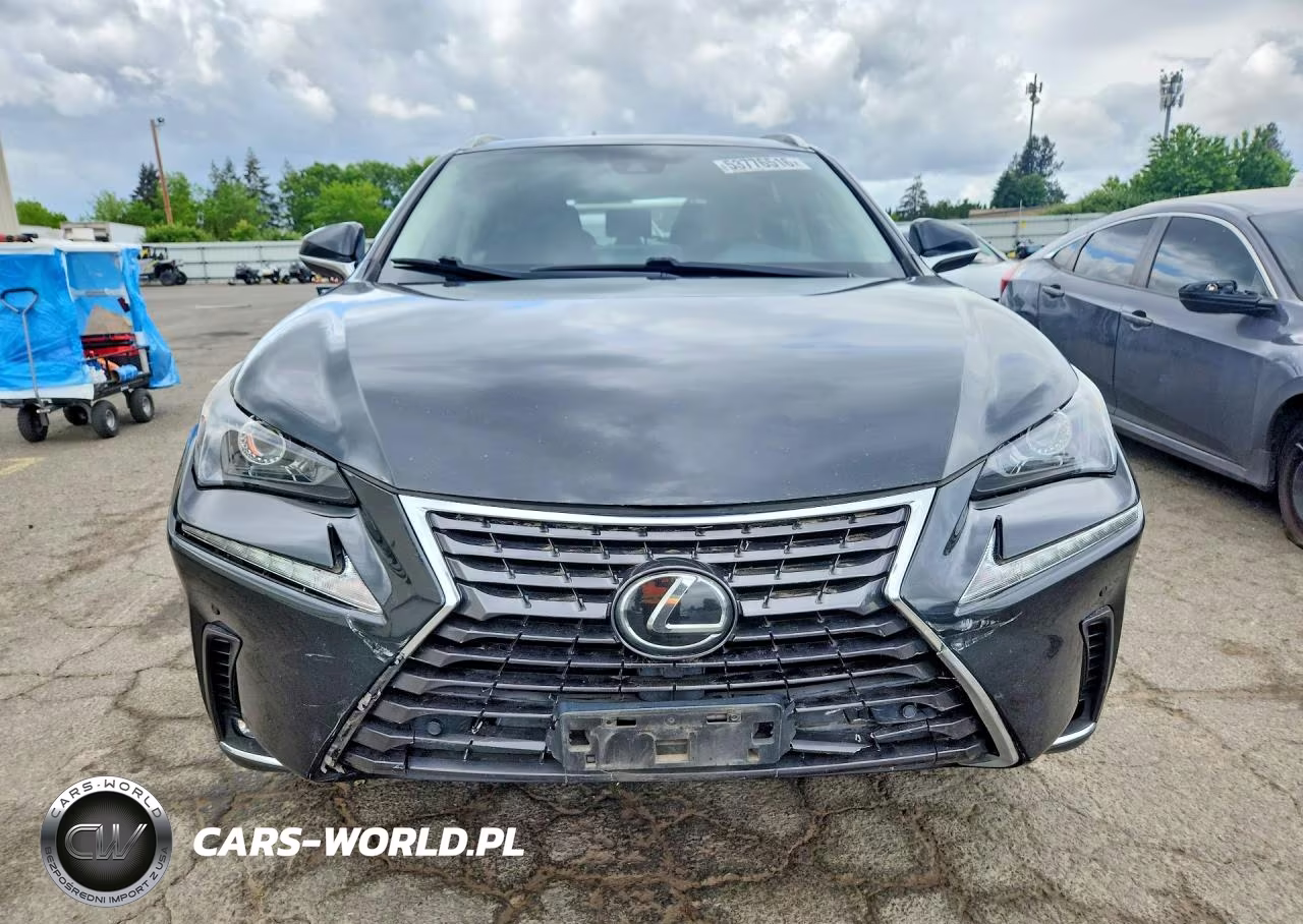2020 Lexus Nx 300 VIN:JTJDARDZ1L2223259 - 5
