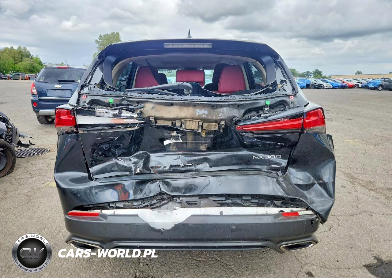 2020 Lexus Nx 300 VIN:JTJDARDZ1L2223259 - 6