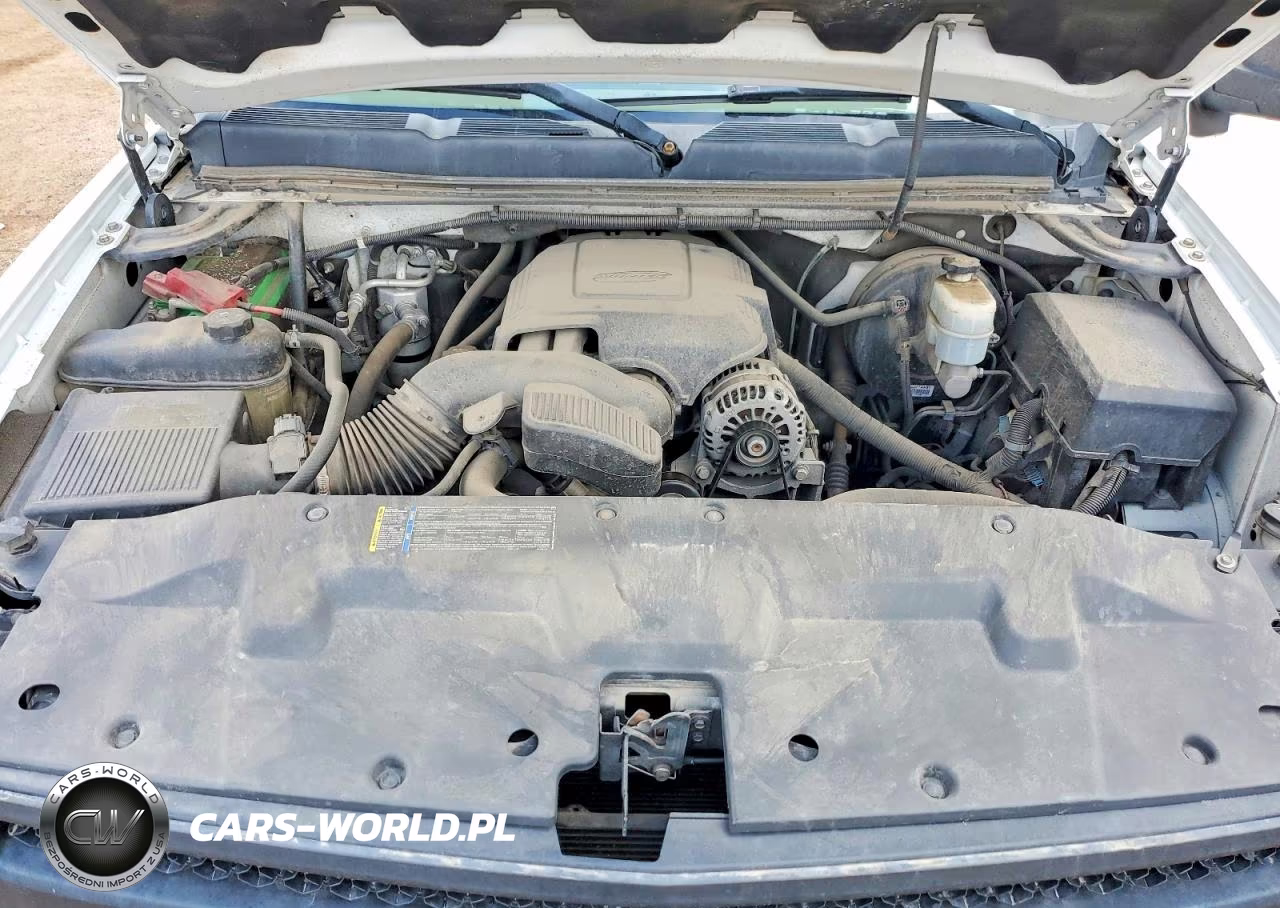 2010 Chevrolet Silverado K1500 VIN:1GCSKPE36AZ294905 - 11