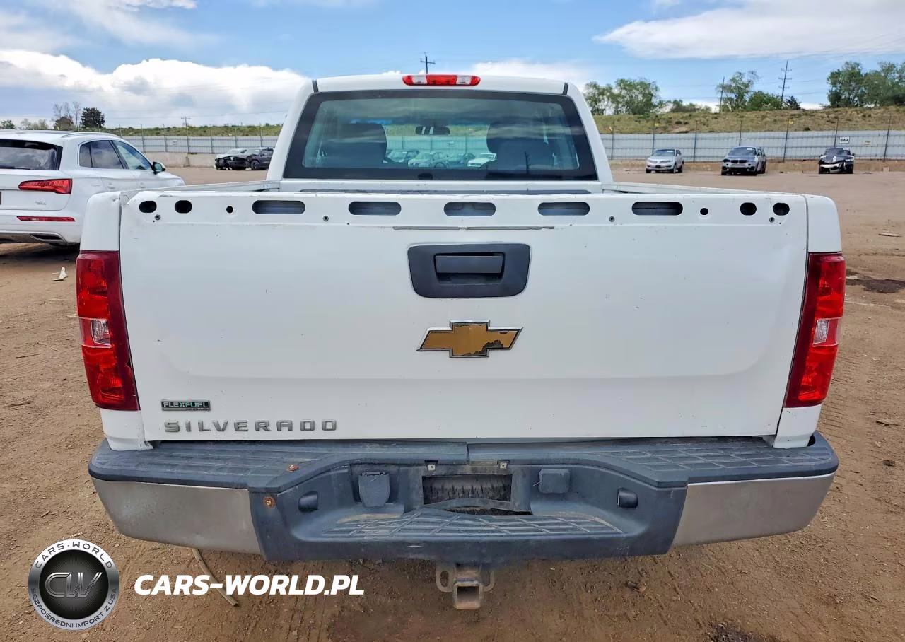 2010 Chevrolet Silverado K1500 VIN:1GCSKPE36AZ294905 - 6