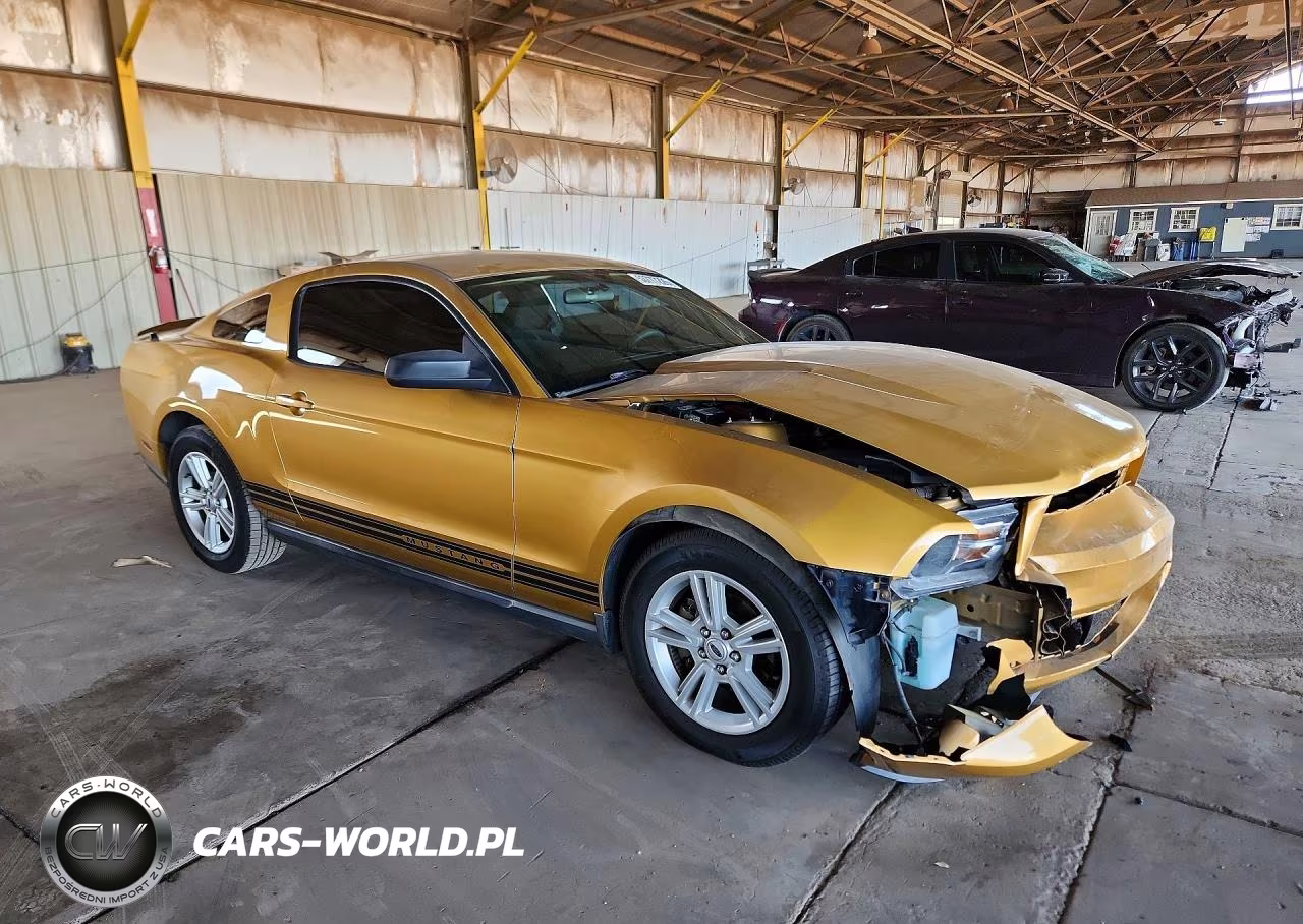 2010 Ford Mustang VIN:1ZVBP8AN7A5119467 - 4