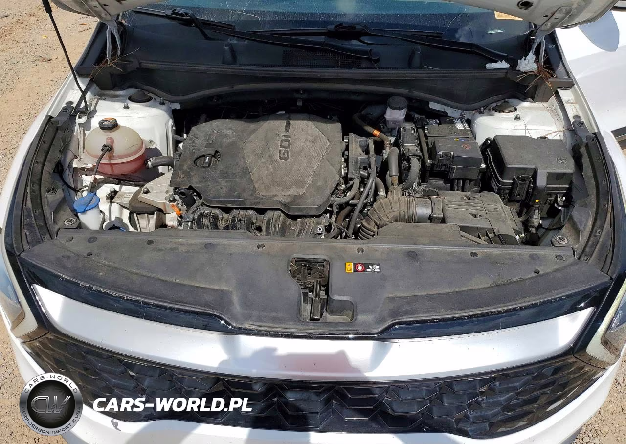 2023 Kia Sportage Ex VIN:5XYK33AF3PG091404 - 11