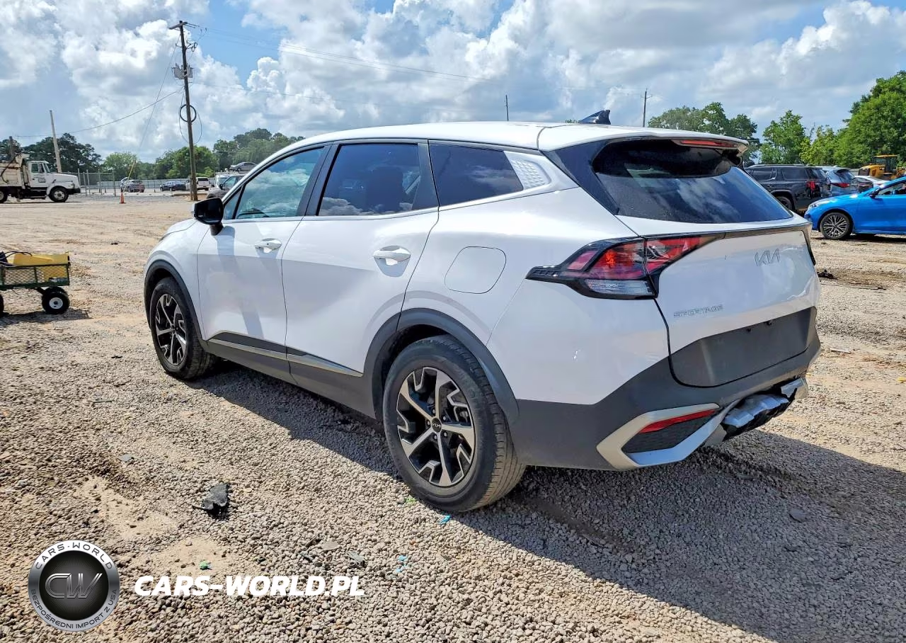 2023 Kia Sportage Ex VIN:5XYK33AF3PG091404 - 2