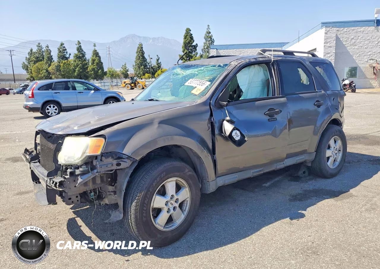 2010 Ford Escape Xlt