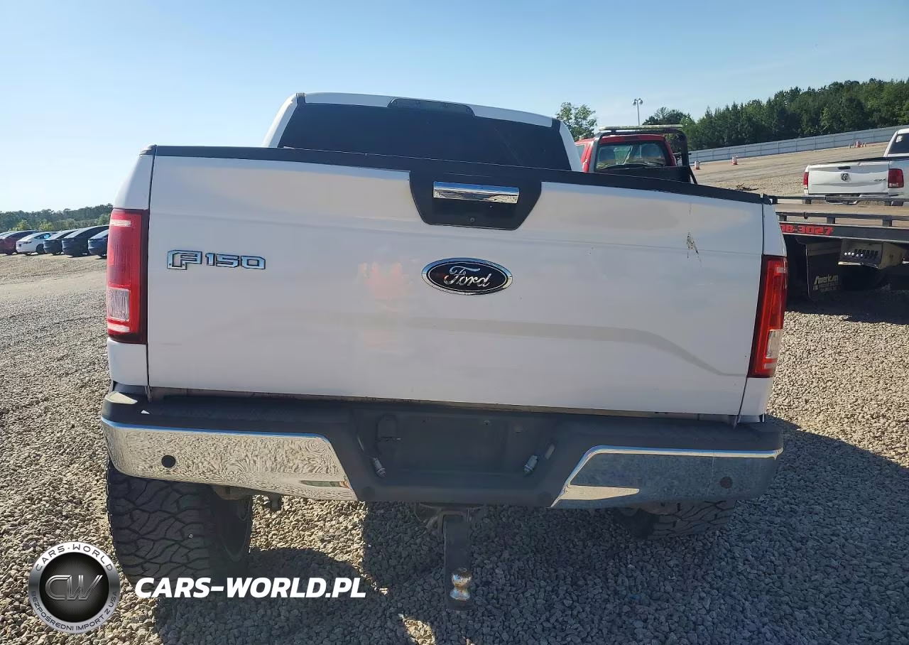 2015 Ford F150 Supercrew VIN:1FTEW1EG8FKF16913 - 6