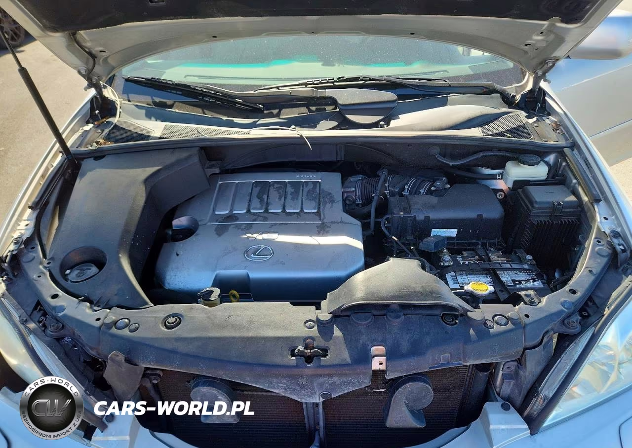 2009 Lexus Rx 350 VIN:2T2GK31U39C079934 - 12