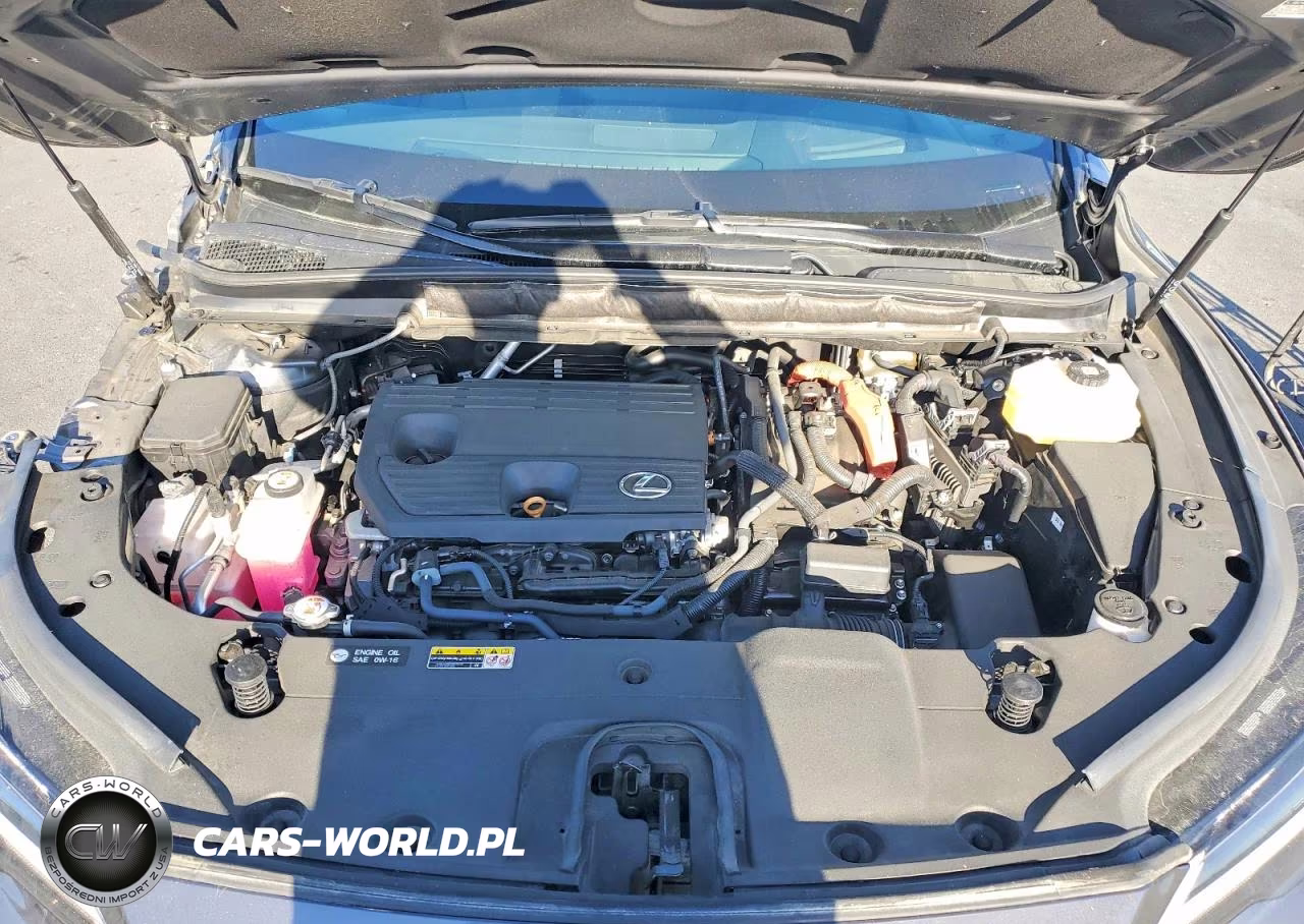 2024 Lexus Rx 350H Base VIN:2T2BBMCA7RC036426 - 11