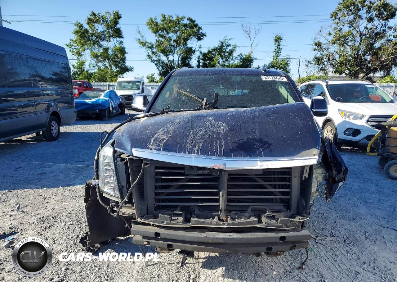 2020 Cadillac Escalade Luxury VIN:1GYS3BKJ2LR205265 - 5