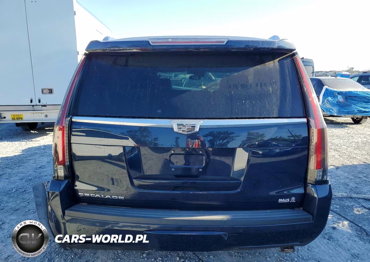 2020 Cadillac Escalade Luxury VIN:1GYS3BKJ2LR205265 - 6
