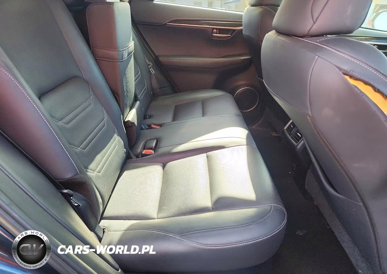 2015 Lexus Nx 200T VIN:JTJYARBZ1F2019893 - 10