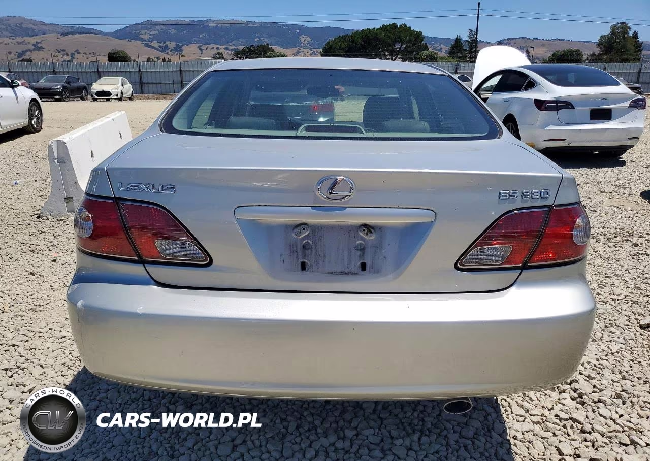 2004 Lexus Es 330 VIN:JTHBA30G245042679 - 6