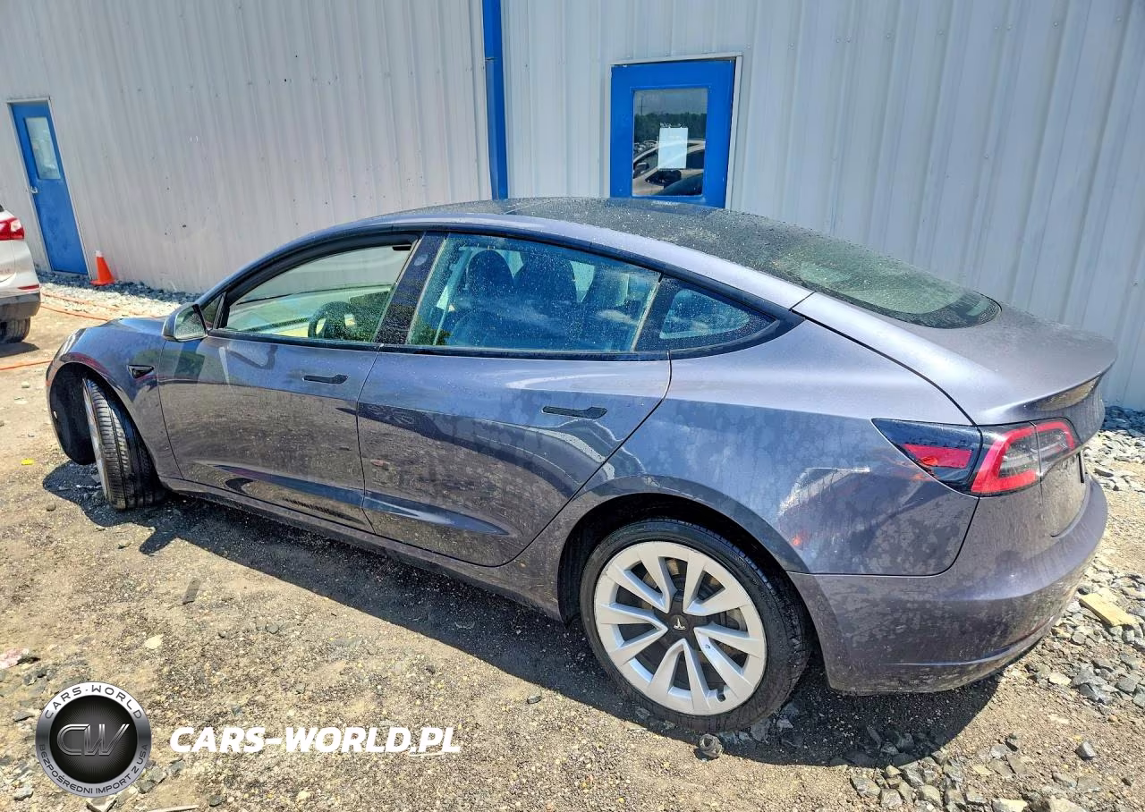2022 Tesla Model 3 VIN:5YJ3E1EA9NF369356 - 2