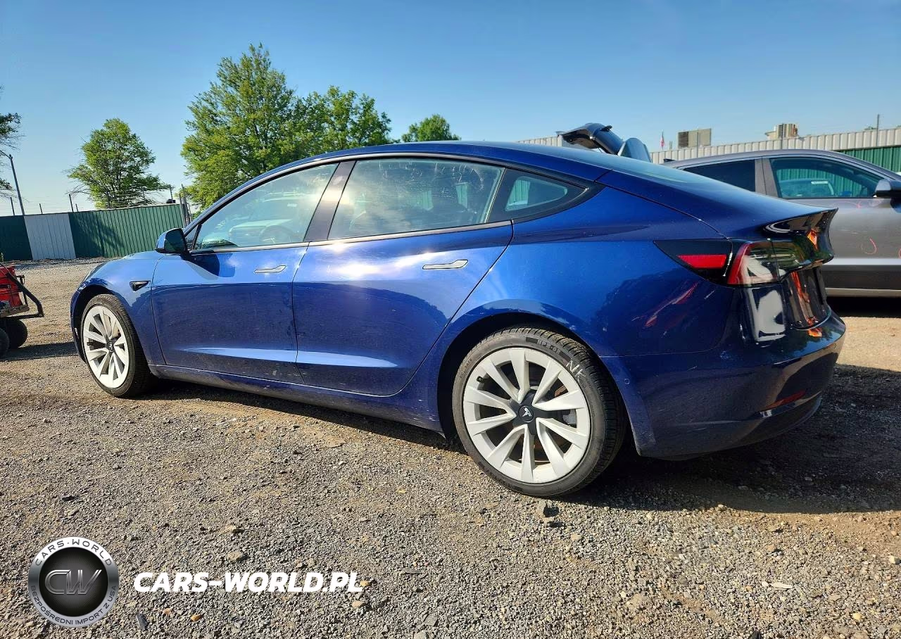 2022 Tesla Model 3 VIN:5YJ3E1EA5NF372593 - 2