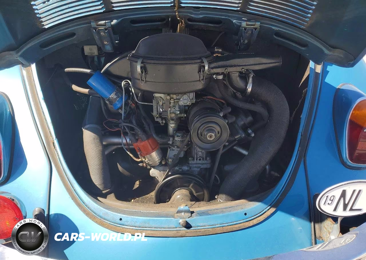 1973 Volkswagen Beetle VIN:1132618320 - 11