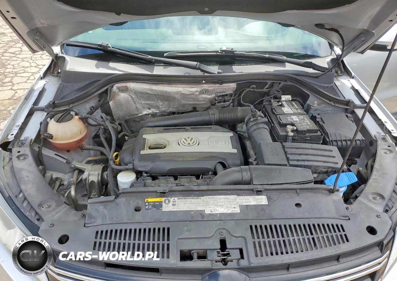 2015 Volkswagen Tiguan S VIN:WVGAV7AX3FW601978 - 12