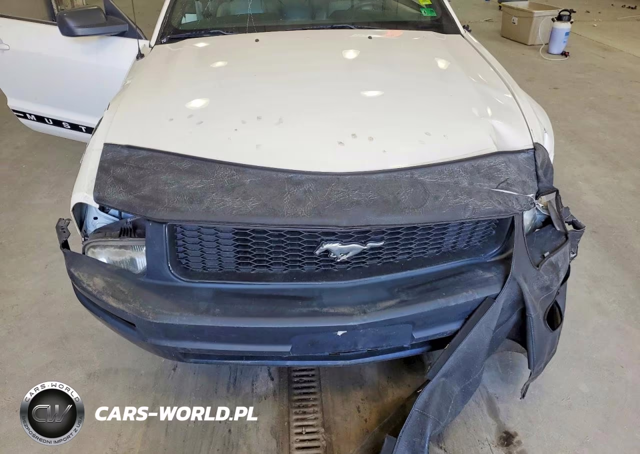 2005 Ford Mustang VIN:1ZVFT84N755214674 - 11