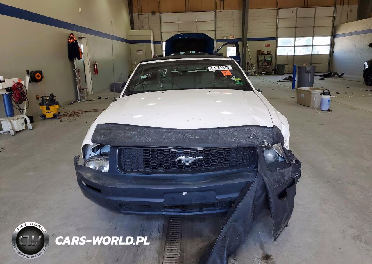 2005 Ford Mustang VIN:1ZVFT84N755214674 - 5