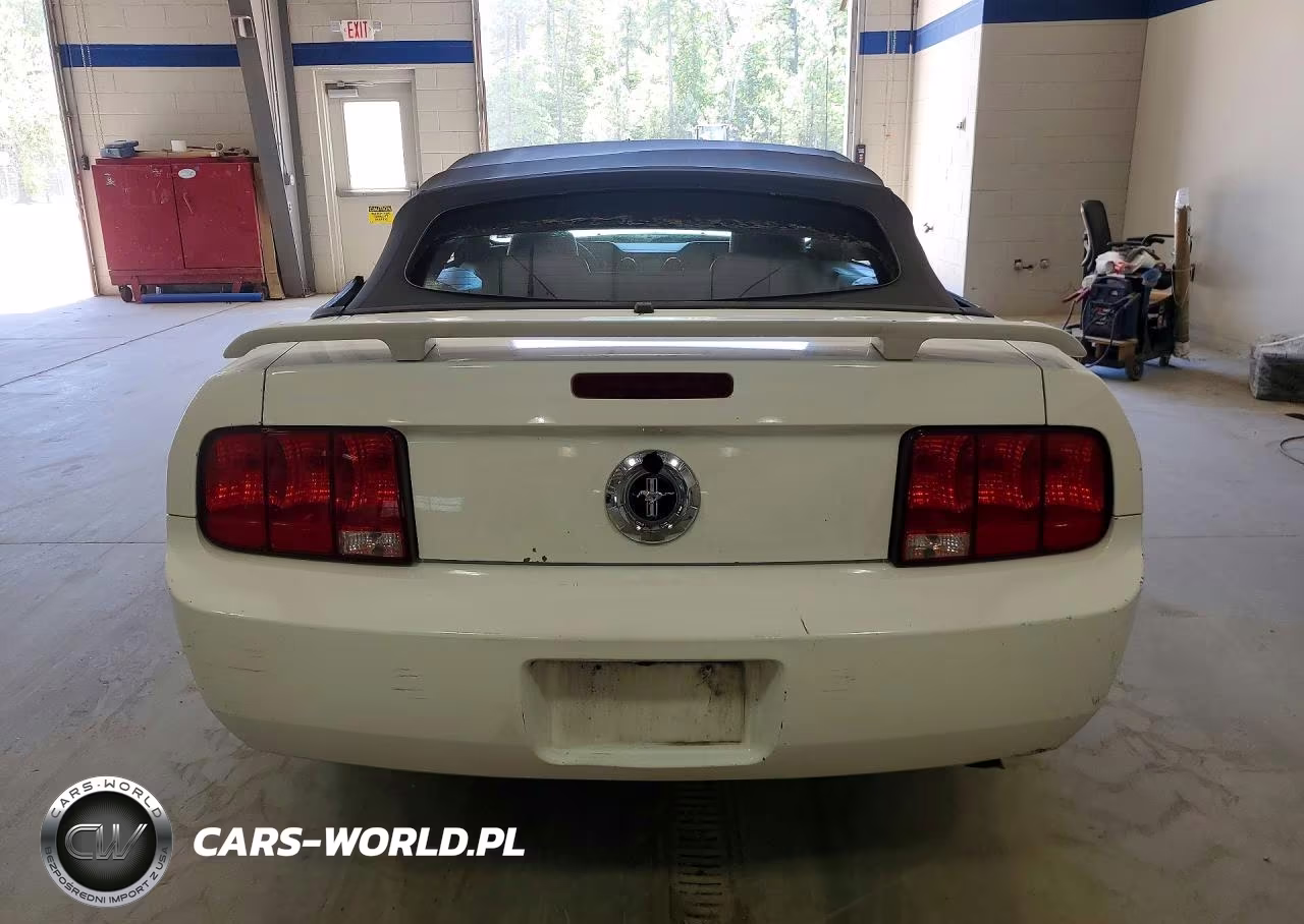 2005 Ford Mustang VIN:1ZVFT84N755214674 - 6